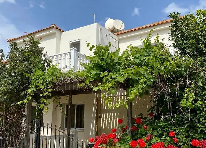 ヴィラ Sea View In Agia Thekla